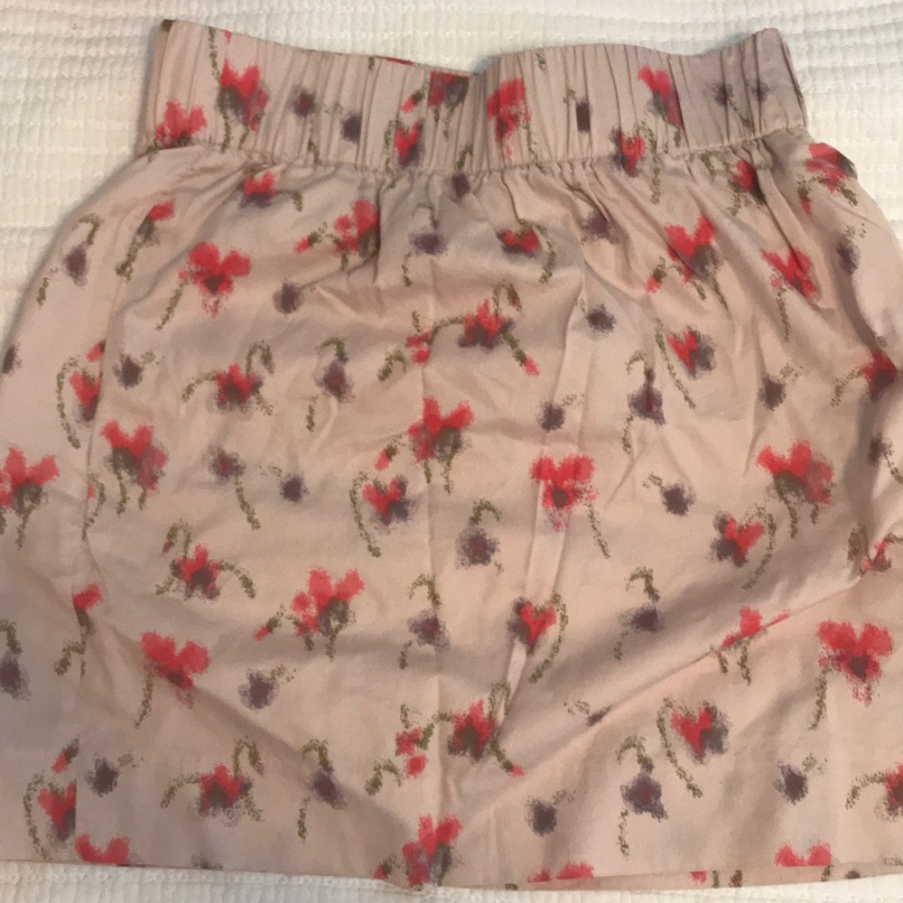 J. Crew skirt